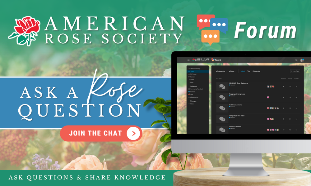 Rose Forum Link