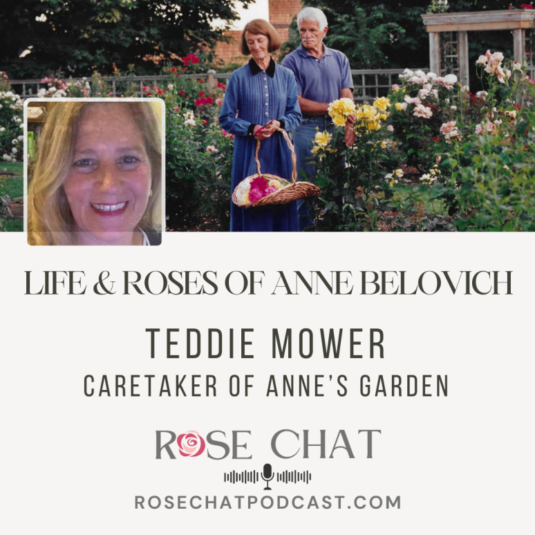 Rose Chat podcast - Fragrant Roses with Matt Douglas